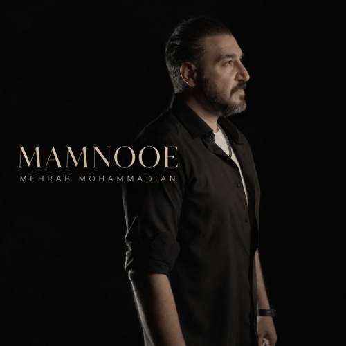 آهنگ محراب محمدیان ممنوعه